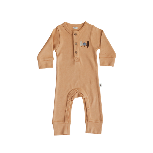 Footless Babygrow