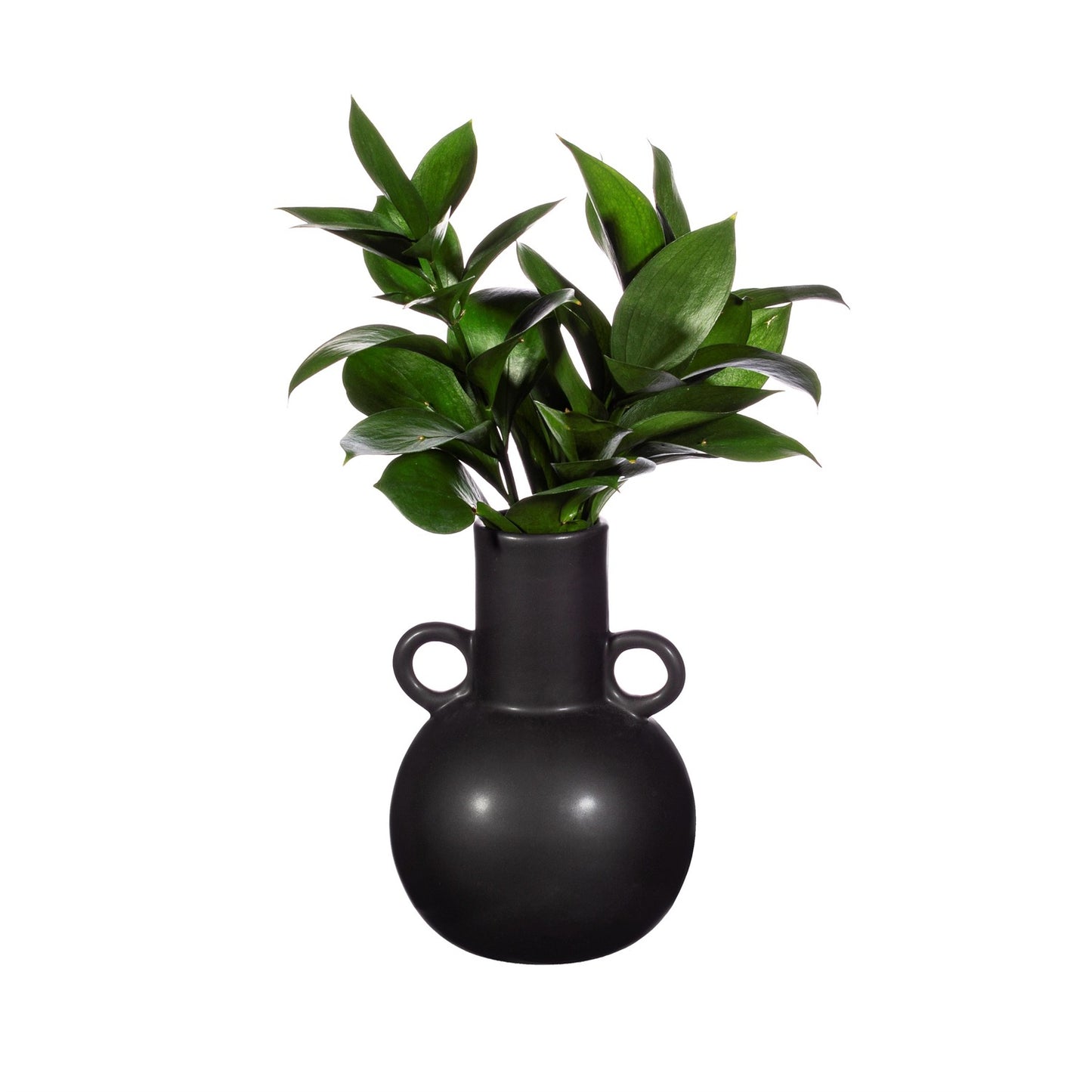 Amphora Handle Vase in Black