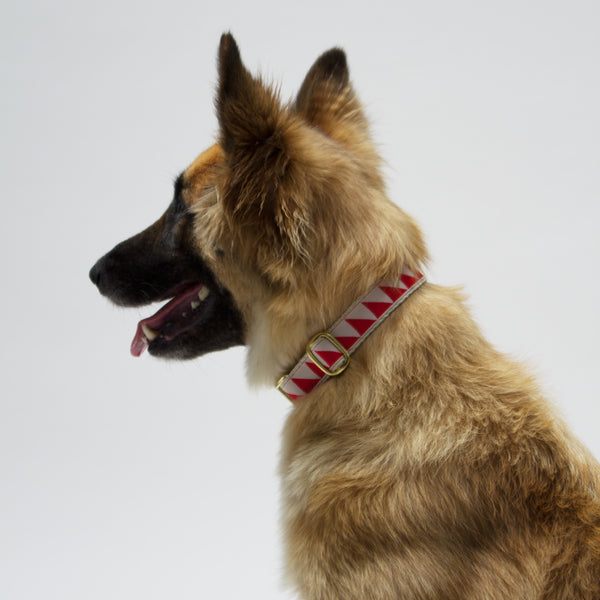 adjustable designer dog collar
